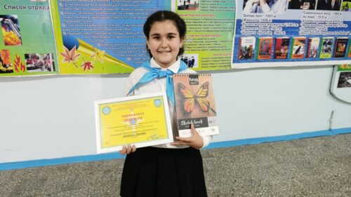 Дипломы за лучшее эссе, лучший рисунок