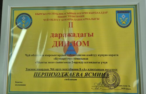 Дипломы за лучшее эссе, лучший рисунок